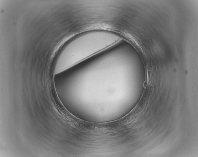 X0000070880531200606161013
