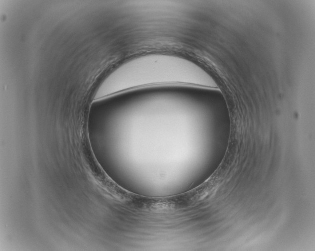 X0000070880546200606161013