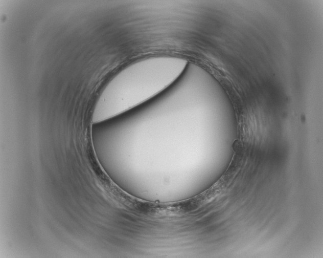 X0000070880550200606161013