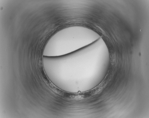 X0000070880553200606161014