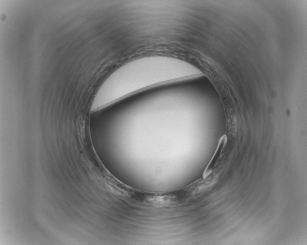 X0000070880558200606161014