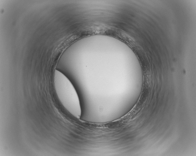 X0000070880594200606161013