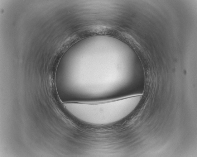 X0000070880597200606161013