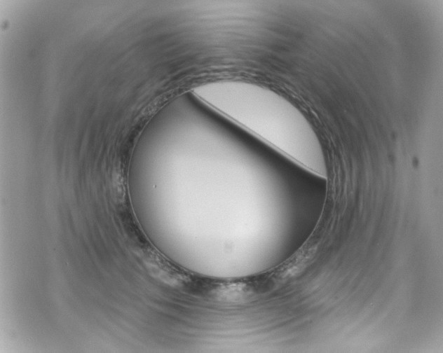 X0000070880609200606161013