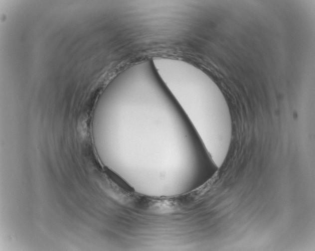 X0000070880611200606161013