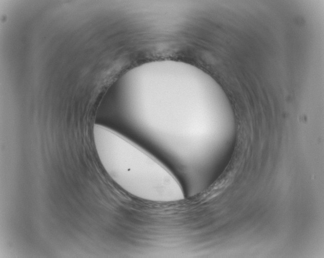 X0000070880624200606161012