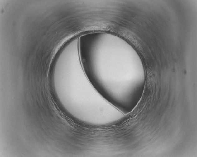 X0000070880628200606161012