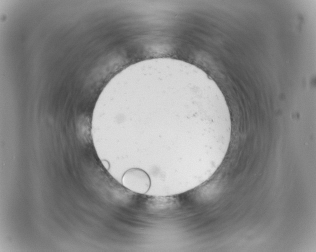 X0000070880672200606161012