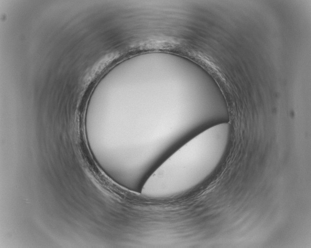 X0000070880678200606161011