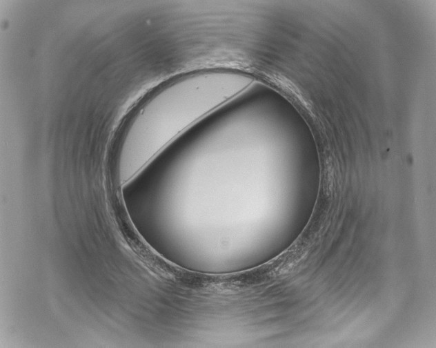 X0000070880680200606161011