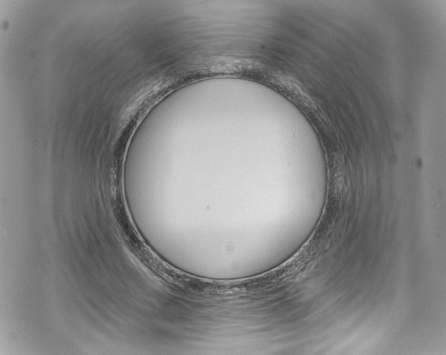 X0000070880683200606161011