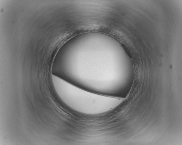 X0000070880692200606161011