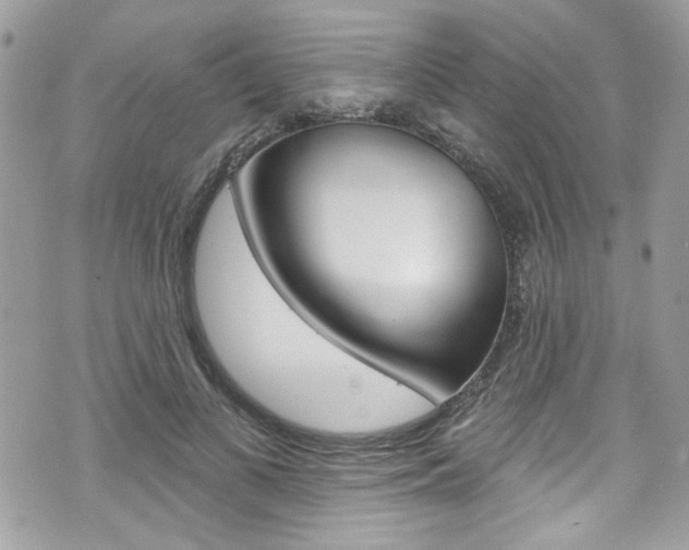 X0000070880693200606161011