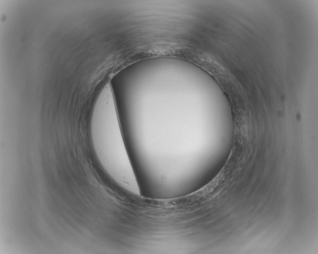 X0000070880696200606161011