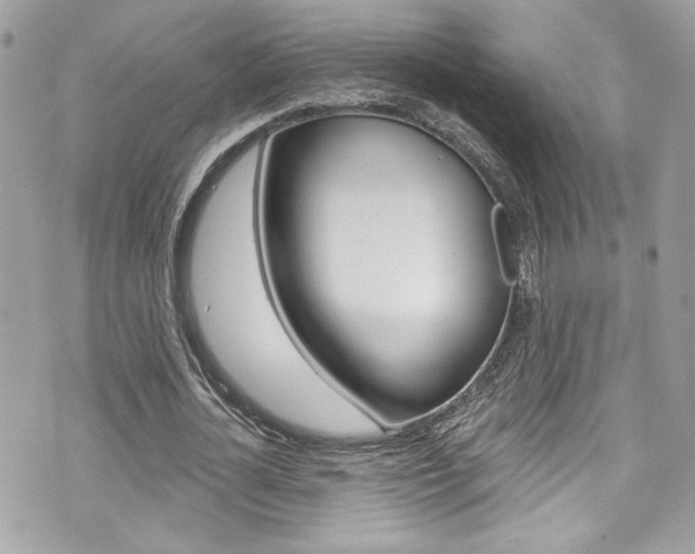 X0000070880724200606161010
