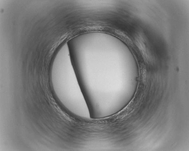 X0000070880729200606161010