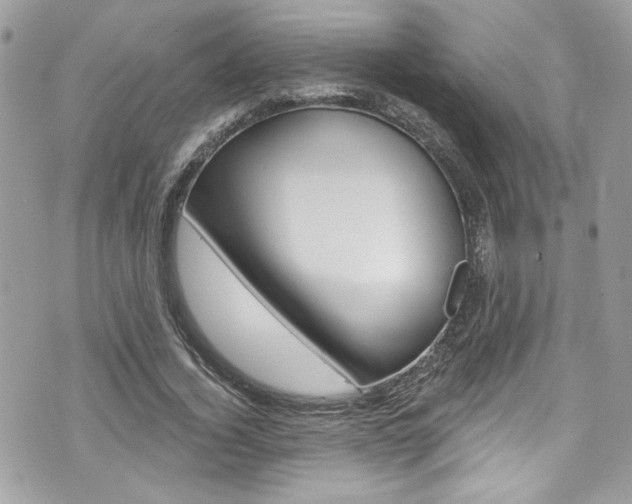 X0000070880732200606161010