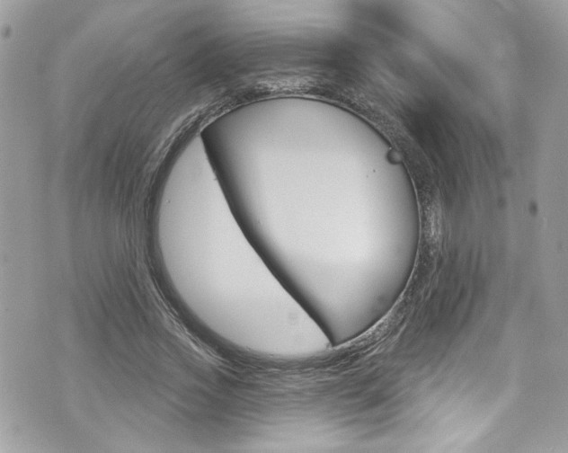 X0000070880733200606161010