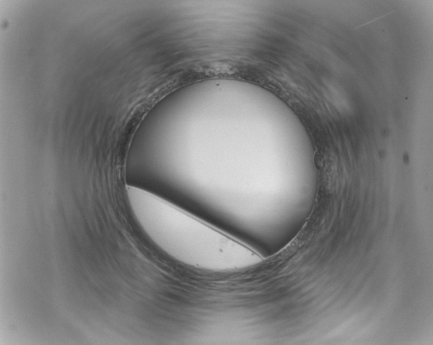 X0000070880747200606161010