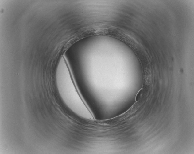 X0000070880748200606161010