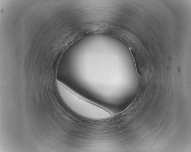 X0000070880752200606161011