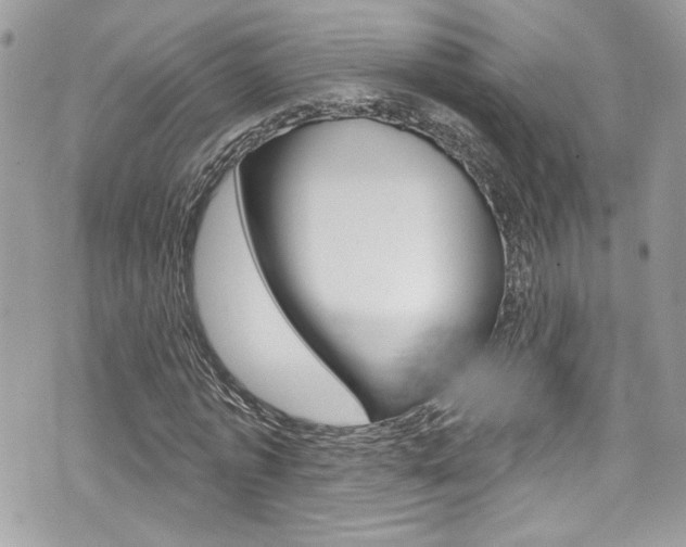 X0000070880773200606161010