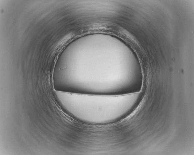 X0000070880777200606161010