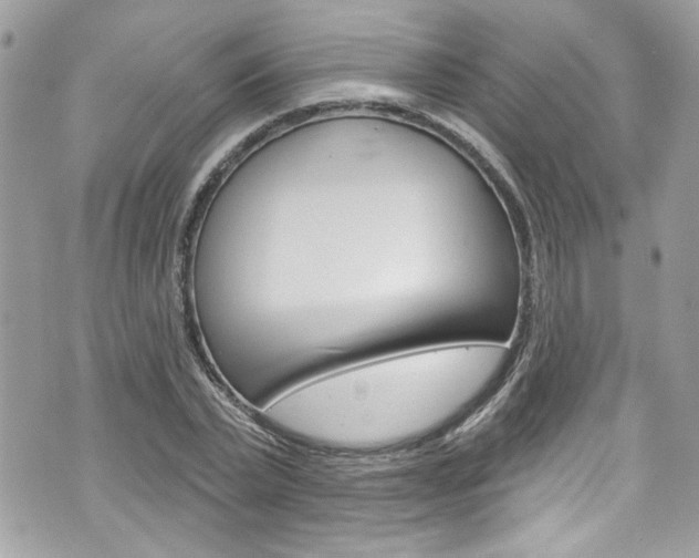 X0000070880783200606161010