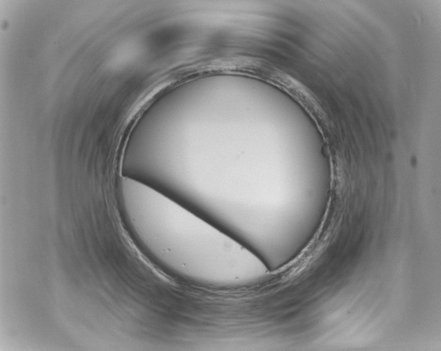 X0000070880794200606161010