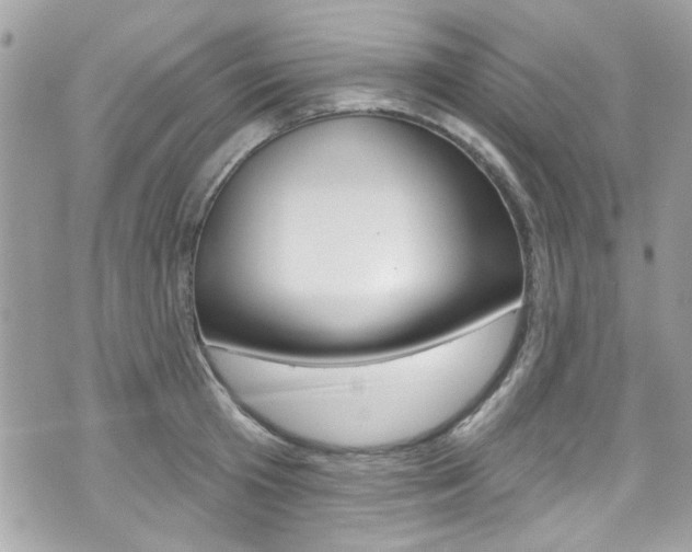 X0000070880801200606161010