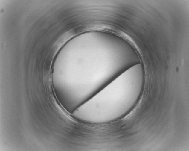 X0000070880802200606161009