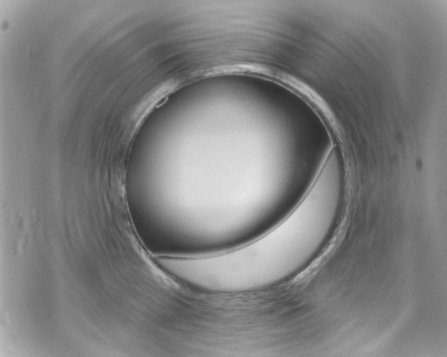 X0000070880809200606161009
