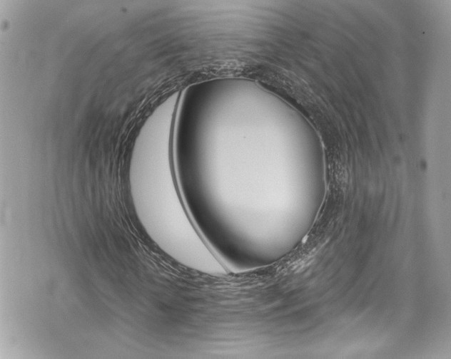 X0000070880818200606161008