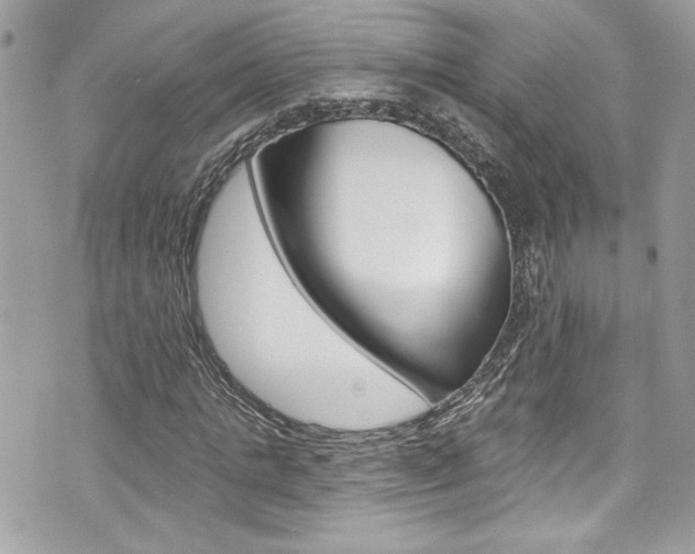 X0000070880821200606161009