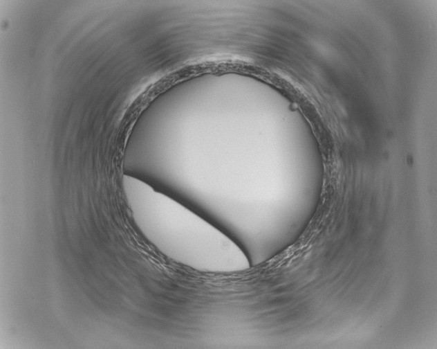 X0000070880823200606161009