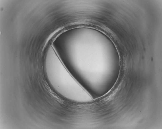 X0000070880830200606161009