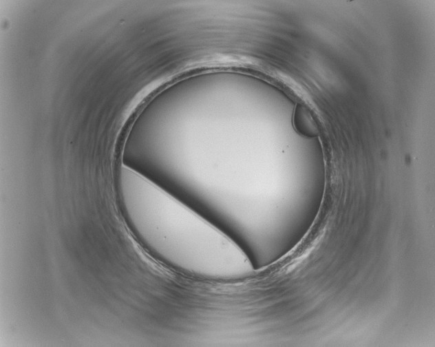 X0000070880837200606161009