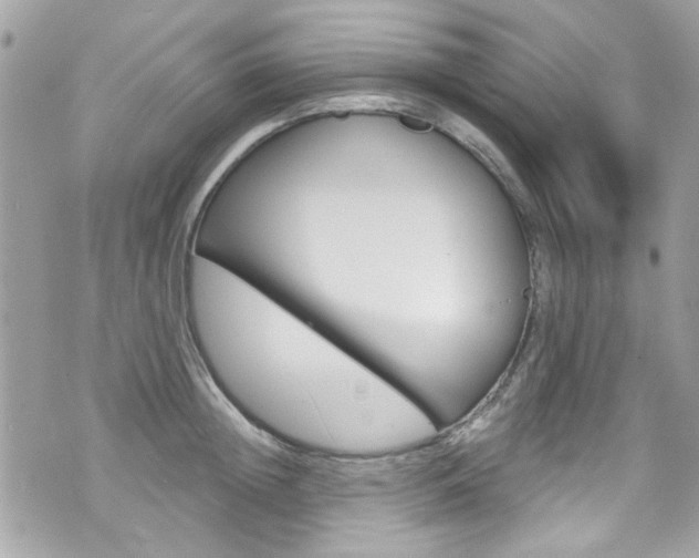 X0000070880852200606161009