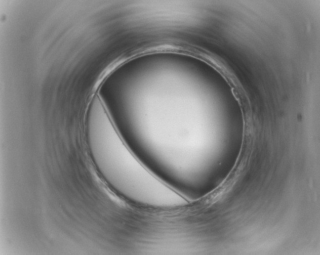 X0000070880858200606161009