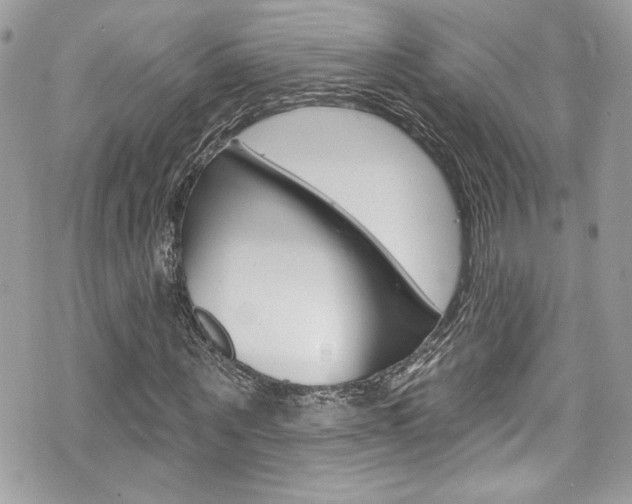 X0000070880867200606161008