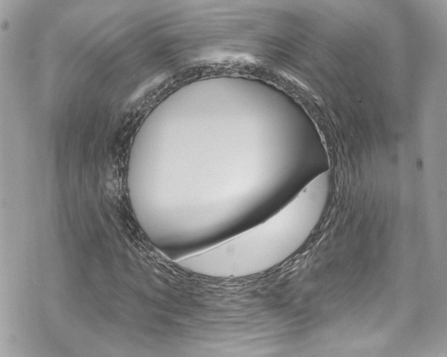X0000070880869200606161008