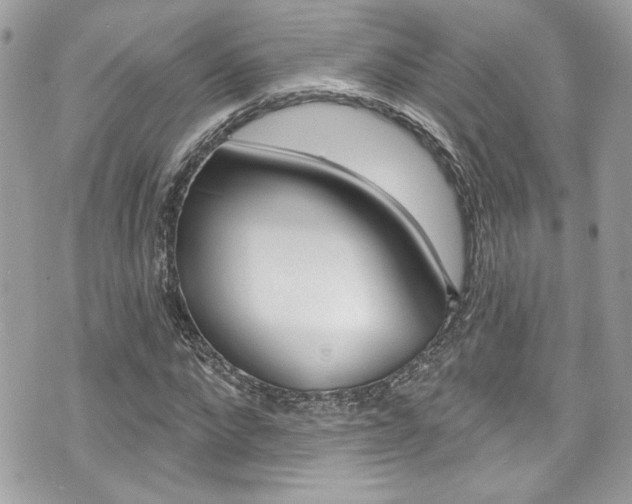 X0000070880872200606161008