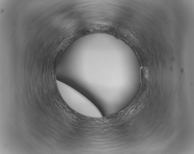 X0000070880915200606161007
