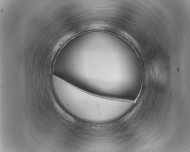 X0000070880938200606161007