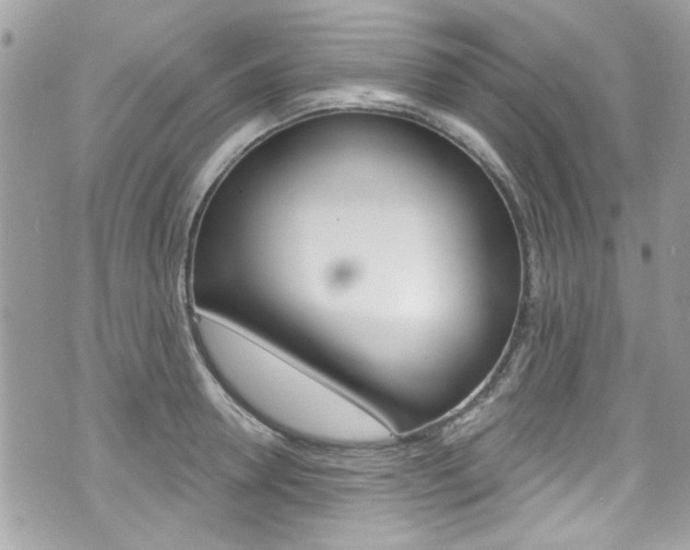 X0000070880946200606161007