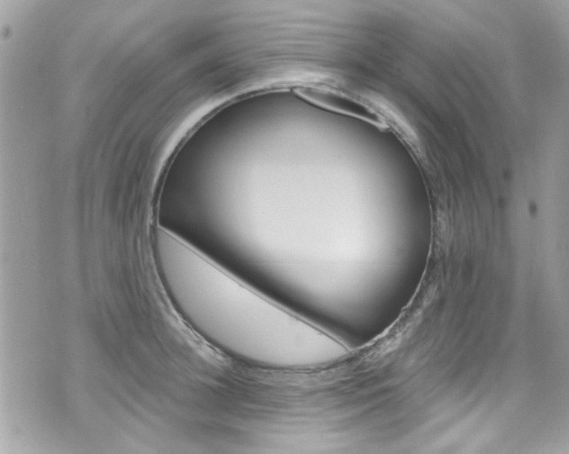 X0000070880948200606161007