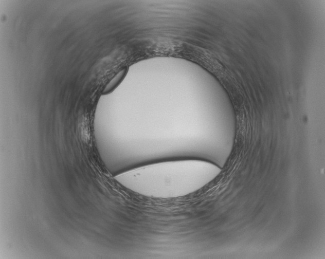 X0000070880962200606161007