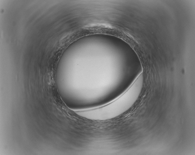 X0000070880965200606161007