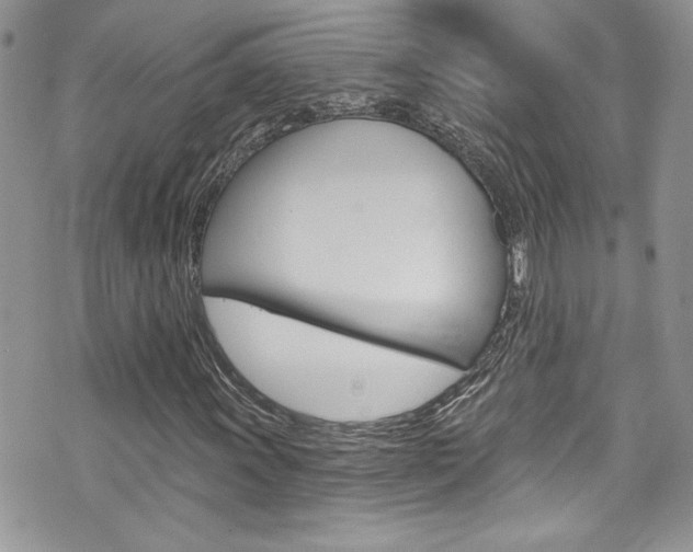 X0000070881011200606161005