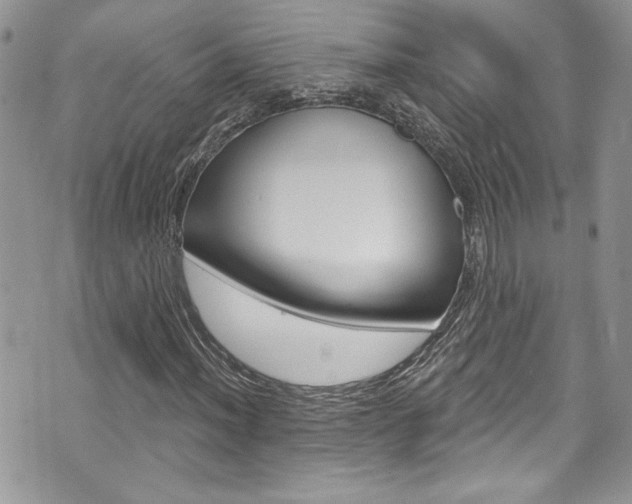 X0000070881012200606161005